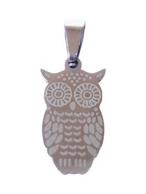 Small Pendant in stainless steel with bail, Owl, 25mm