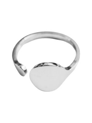 signet stainless steel ring