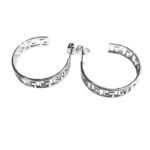 Stainless steel earrings