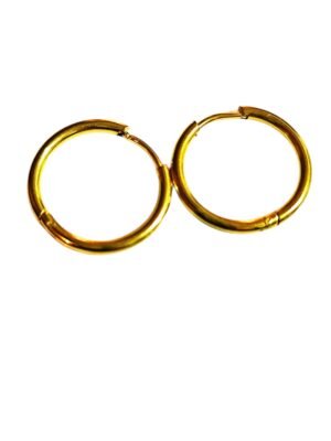 Stainless Steel Earrings Small Hoop in Gold, 20mm