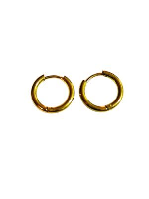 Stainless Steel Earrings Small Hoop in Gold, 14mm