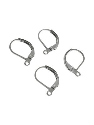 Leverback Earring in stainless steel, 16mm, 2 pairs