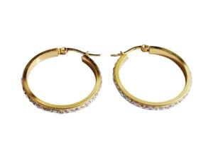 Gold Stainless Steel, Round Loop Earrings, 30mm (Gold)