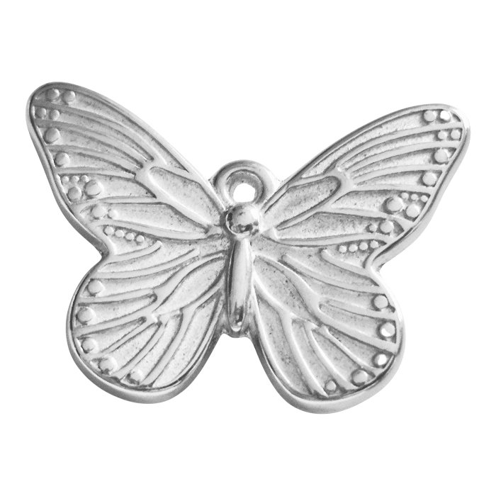 IMG_20260125_111745-Photoroom-Photoroom